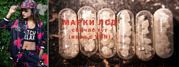 дмт Кропоткин