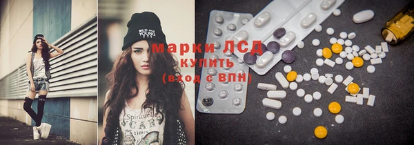 дживик Магас