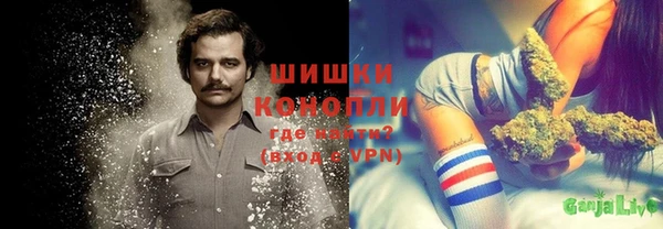 дживик Кстово