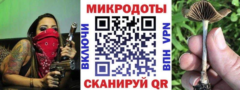 shop как зайти  Медвежьегорск  Псилоцибиновые грибы мицелий  даркнет сайт 